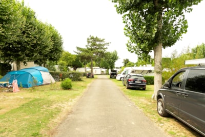 Pitch tent or trailer tent - 7.50 m (water, electricity and 1 vehicle) — 2