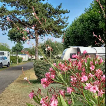 Stellplatz - Stellplatz Wohnwagen - 7,50 M (Wasser, Strom, Abwasser, Und 1 Fahrzeug) - Bontempo Village La Yole