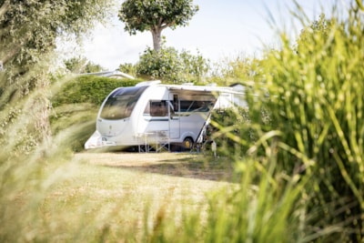 Pitch caravan + 7.50 m (water, electricity, drain, and 1 vehicle) — 1