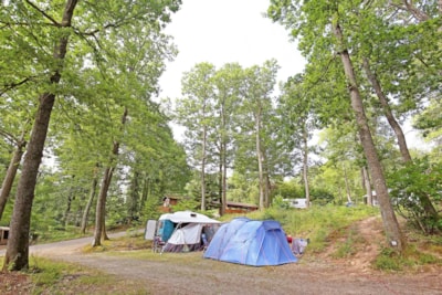 Comfort Camping pitch with Electricity — 5