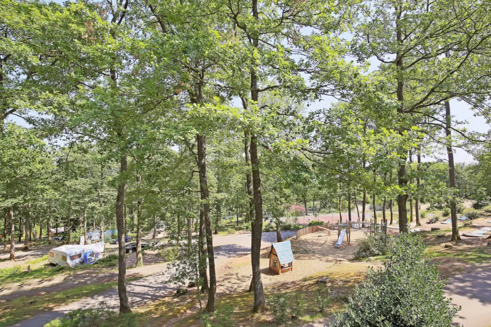 Emplacement - Emplacement Confort - Huttopia Wattwiller