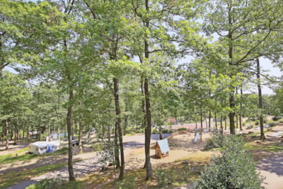 Comfort Camping pitch with Electricity — 1