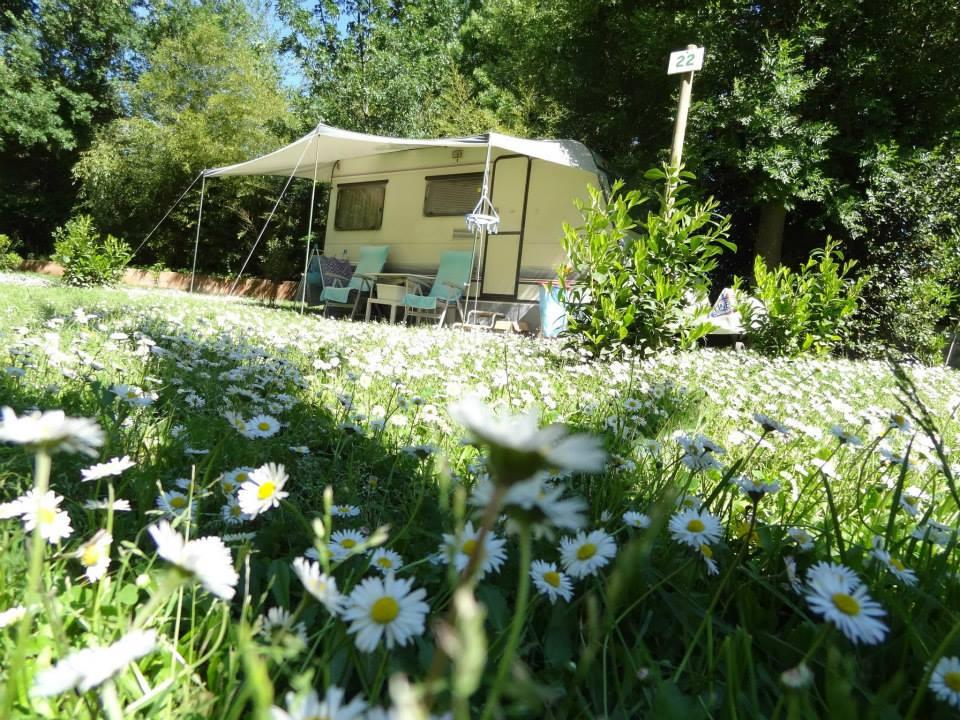  Camping Comanges ARGELES SUR MER CEDEX Languedoc-Roussillon France