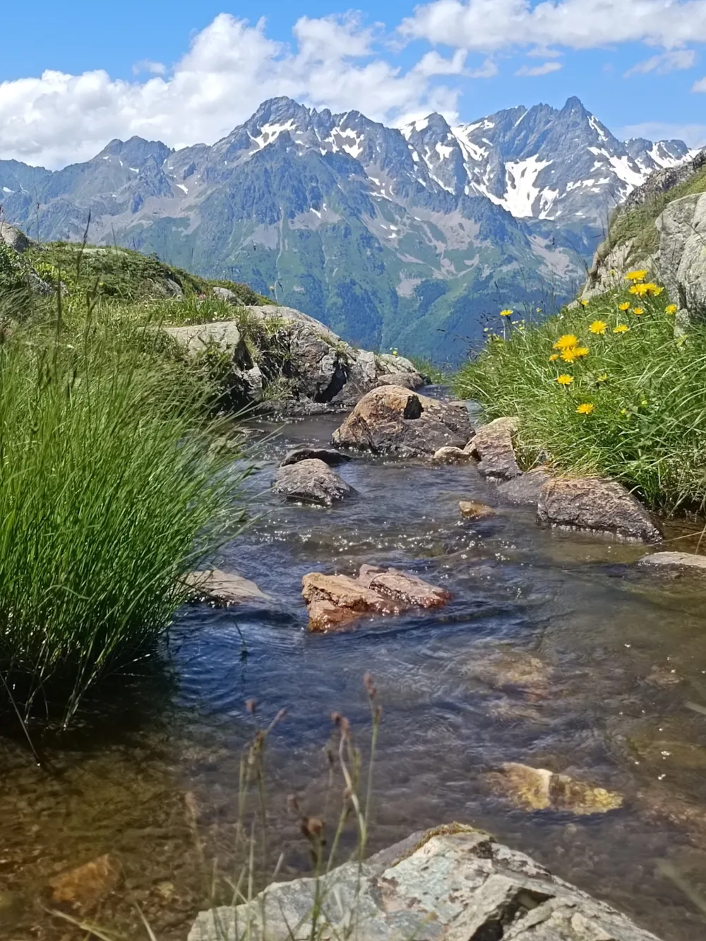 Le Champ du Moulin