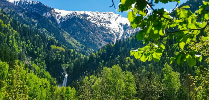 Appartement Vénéon N° 4 - 45M² - 1 Chambre