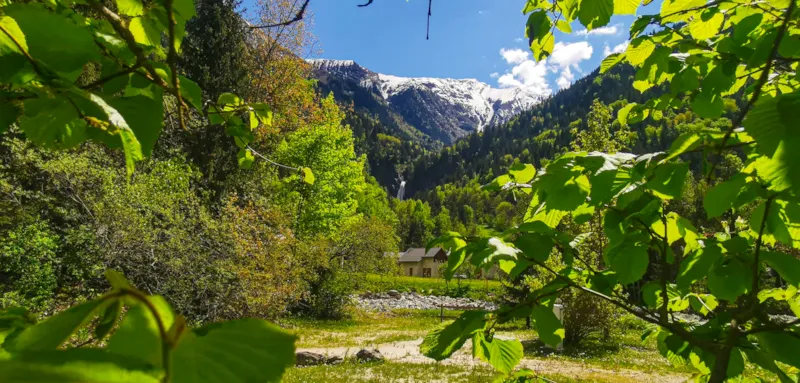 Appartement Vénéon N° 5 - 45M² - 1 Chambre