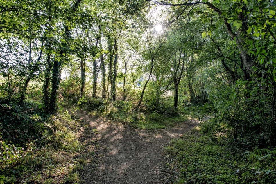 Centre de Vacances Naturiste le Colombier