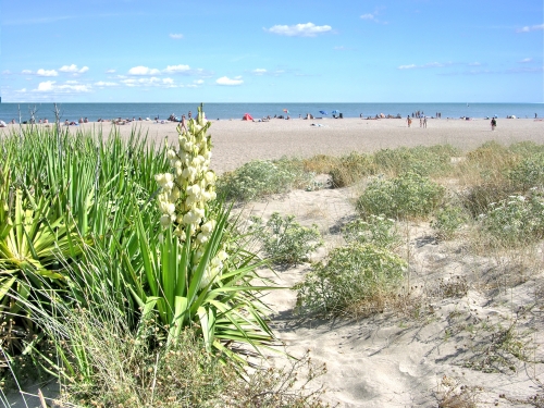 Beaches Capfun – Domaine La Grande Cosse - Fleury D'aude