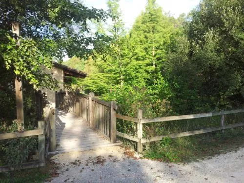 Emplacement (Taille L) + Électricité 10A + Voiture