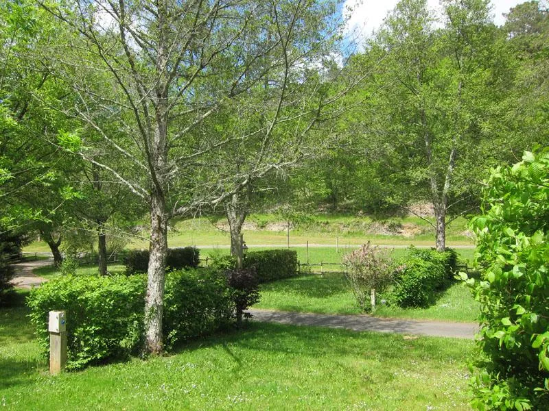 Emplacement (Taille Xxl) + Électricité 10A + Voiture