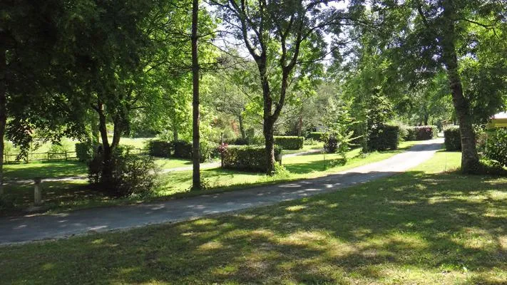 Emplacement (Taille L) + Électricité 10A + Voiture