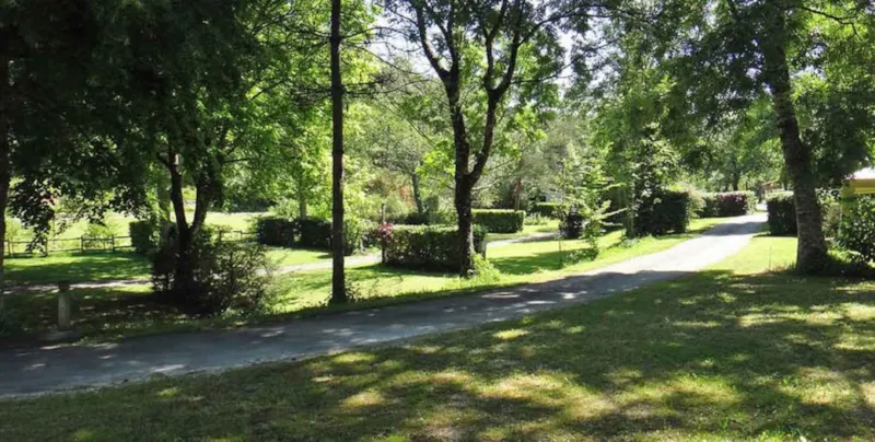 Emplacement (Taille Xl) + Électricité 10A + Voiture