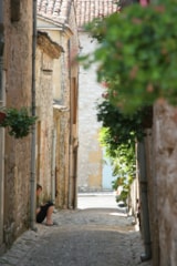 Foto #39 van Domaine Laborde