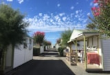 Chalet 25M² - 2 Chambres + Terrasse Couverte 8M² Chalet 25M² - 2 Chambres + Terrasse Couverte 8M²