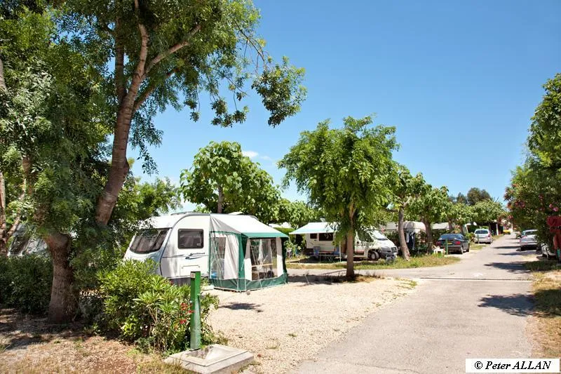 Pitch Cat. 4 (80 - 100 m²) with 1 caravan + 1 car  or 1 camping-car.