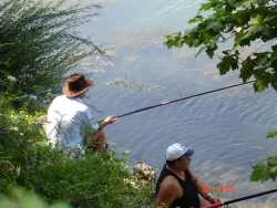 Camping Le Rhône - image n°14 - Ardeche