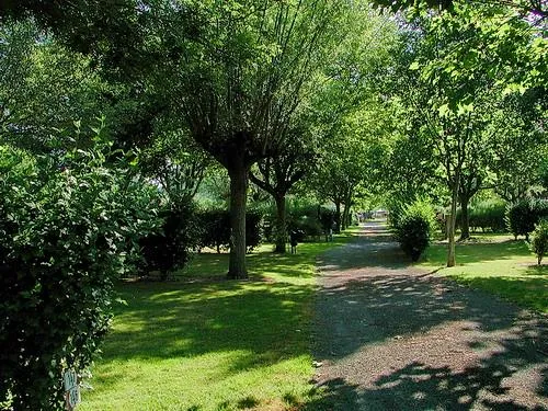 Emplacement De Camping (Hors Electricité)