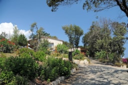 Mietunterkunft - Villa Paradisu - Domaine de Riva Bella