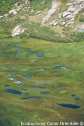 Domaine de Riva Bella