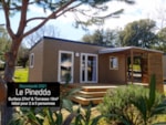 Pinedda Pinedda