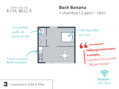 Back Banana Filetta