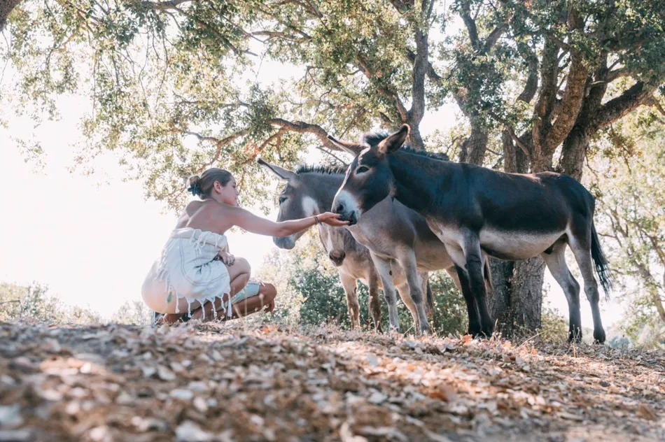 DOMAINE NATURISTE RIVA BELLA