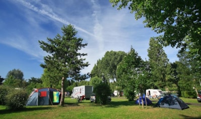 Pitch: Campervan - vehicle/caravan/folding caravan/tent ELECTRICITY NOT INCLUDED