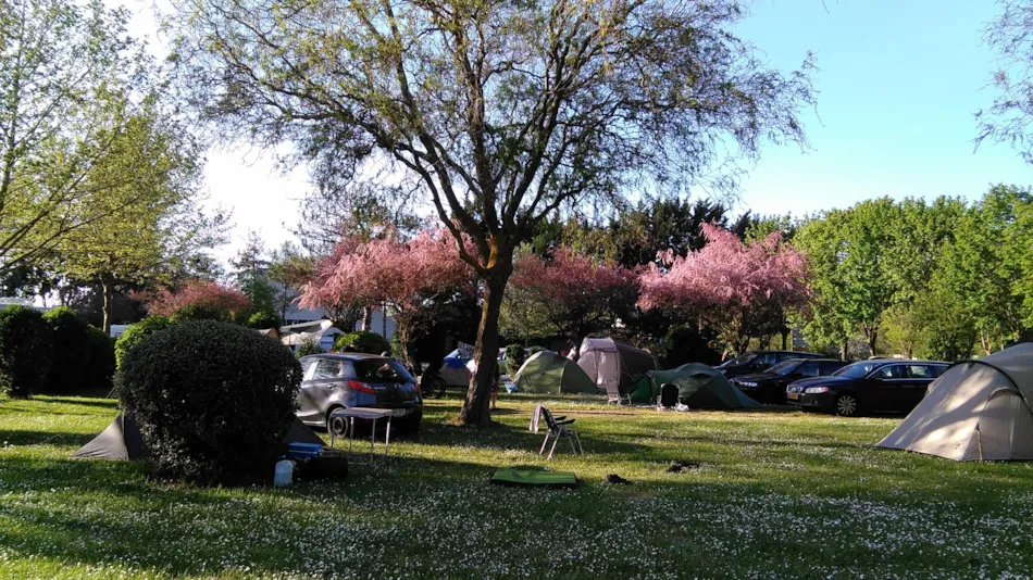 Camping LA BELLE ETOILE
