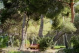 Foto #29 van Camping MARIUS