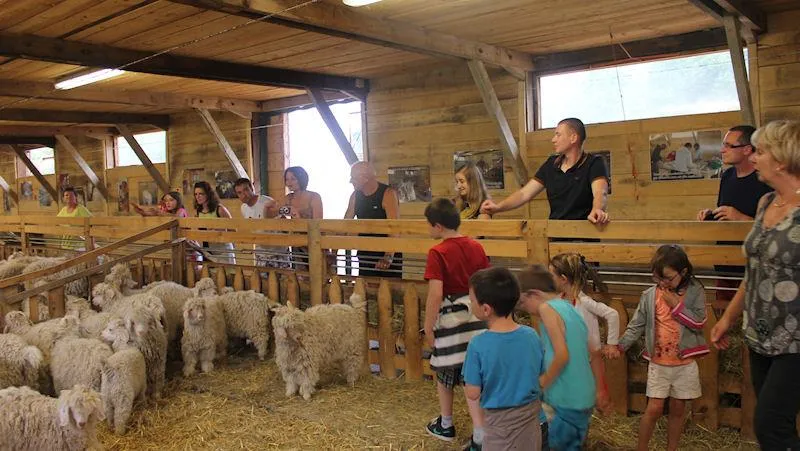 Camping AU P'TIT BONHEUR