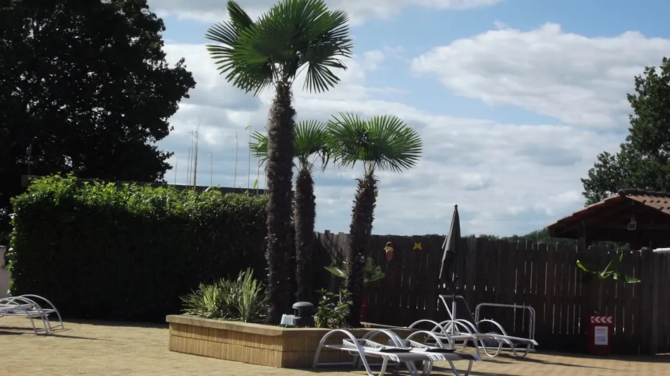 Camping AU P'TIT BONHEUR