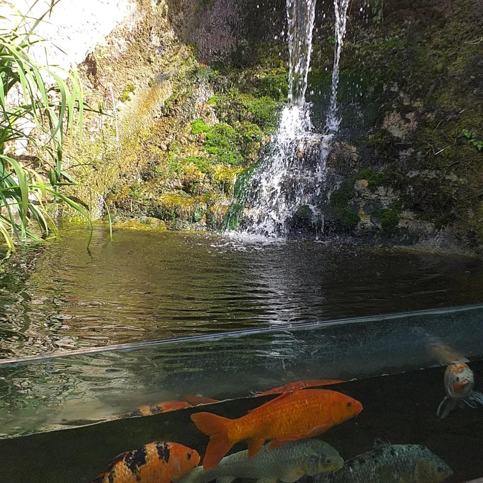 Camping AU P'TIT BONHEUR