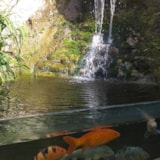 Foto #46 van Camping AU P’TIT BONHEUR