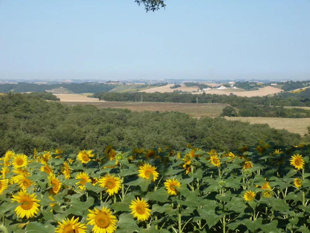 Camping Domaine Saint Laurent