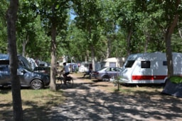 Camping Paradis Robinson - image n°18 - Roulottes