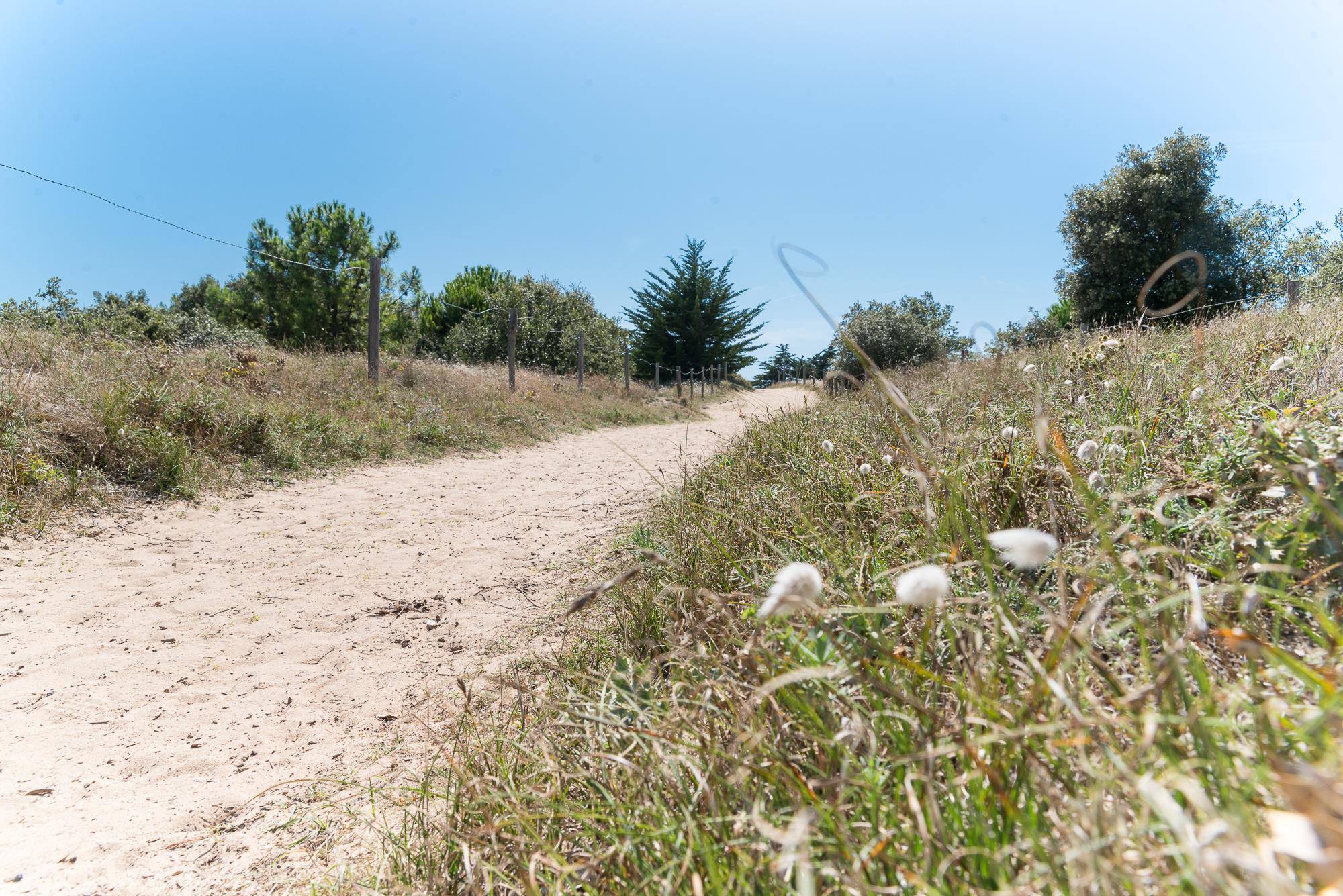 Camping Cote Plage Saint Jean De Monts Book Your Holidays