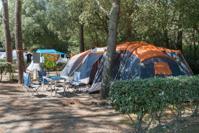 Forfait Confort (1 Tente, Caravane Ou Camping-Car / 1 Voiture / Électricité 10A)