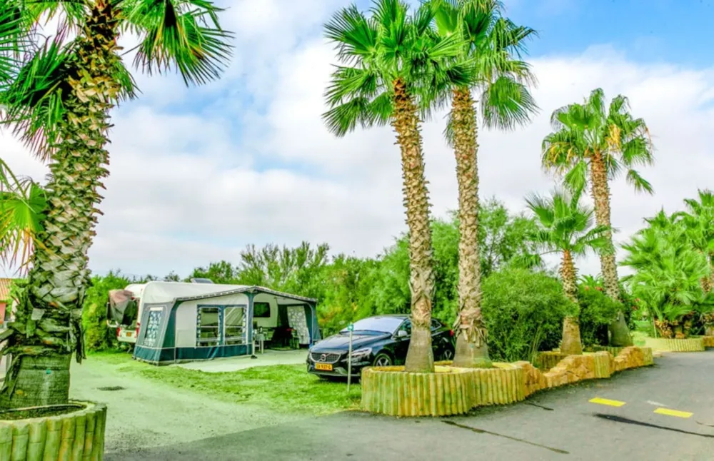 Camping Cala Gogo