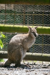 Foto #40 van Camping Seasonova Saint Michel