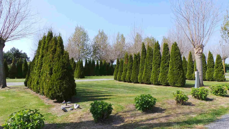 Capfun - Camping La Route Blanche