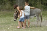 Foto #3 van Camping les Fontaines