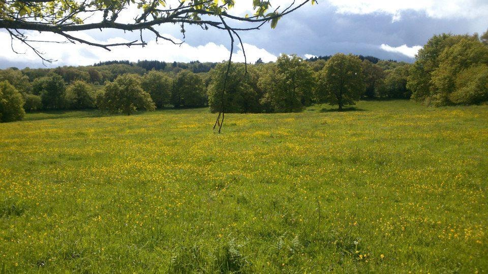 Creuse Nature Naturisme — Photo 4