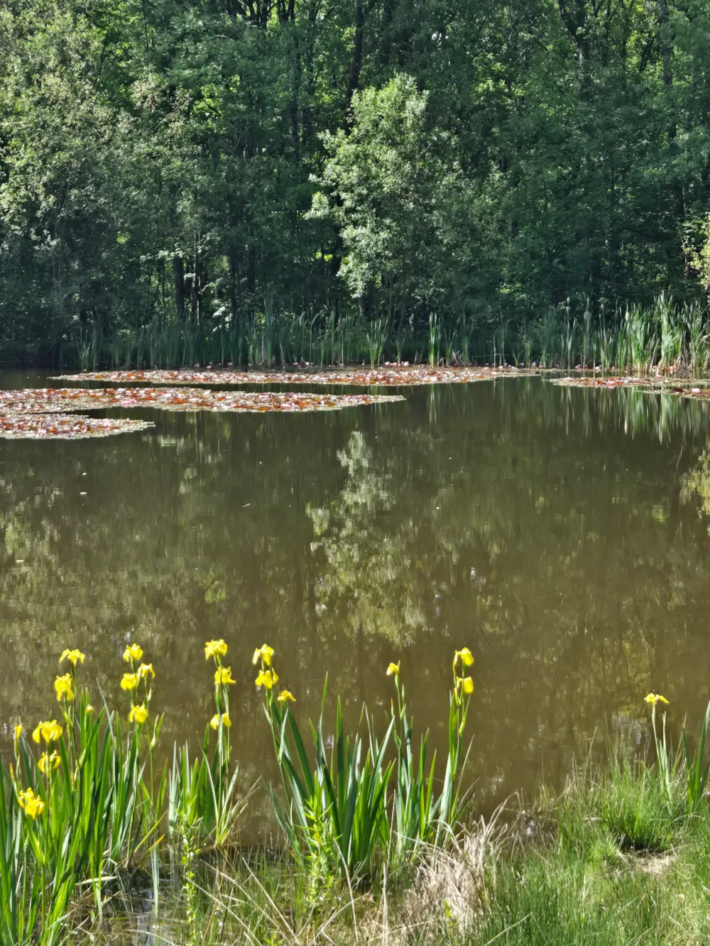 Creuse Nature Naturisme