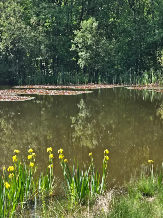 Creuse Nature Naturisme - image n°4 - Camping Direct