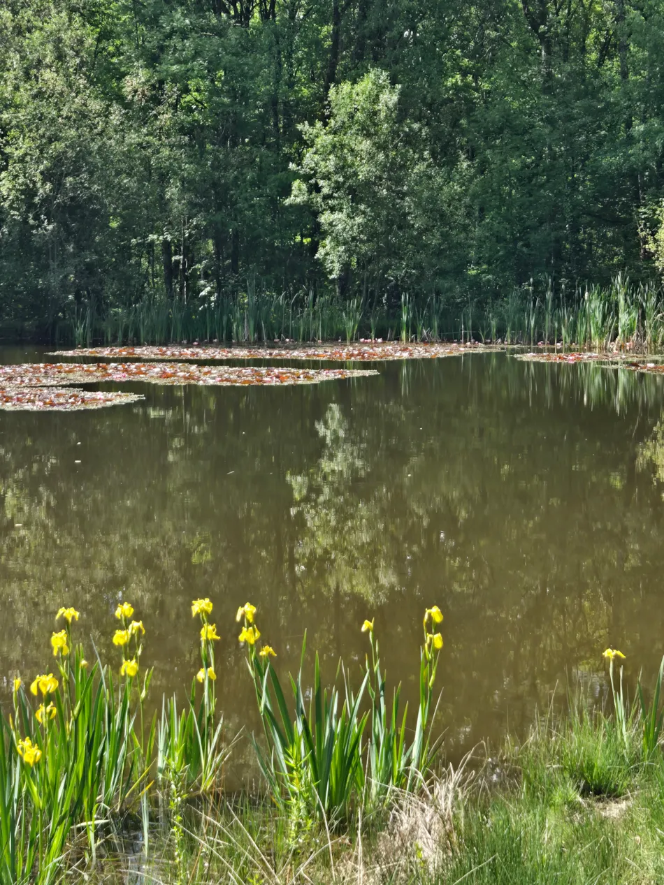 Creuse Nature Naturisme