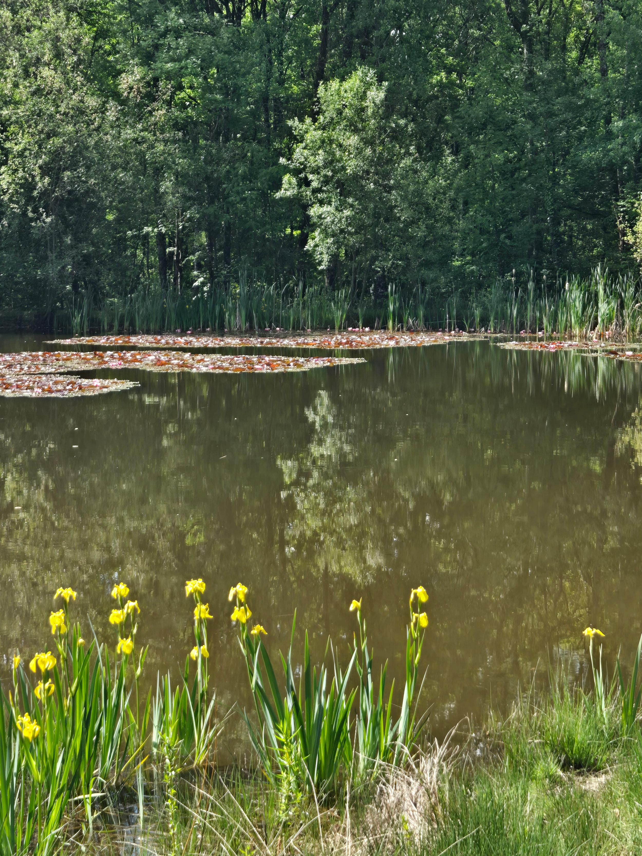 Creuse Nature Naturisme — Foto 7