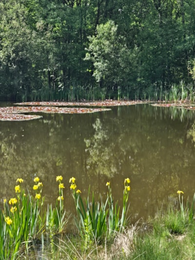 Creuse Nature Naturisme