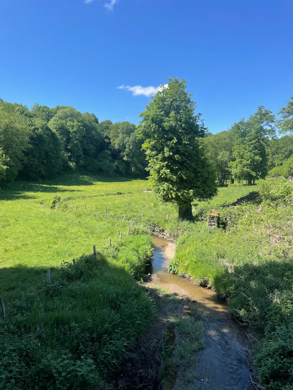 Creuse Nature Naturisme - image n°71 - UniversalBooking