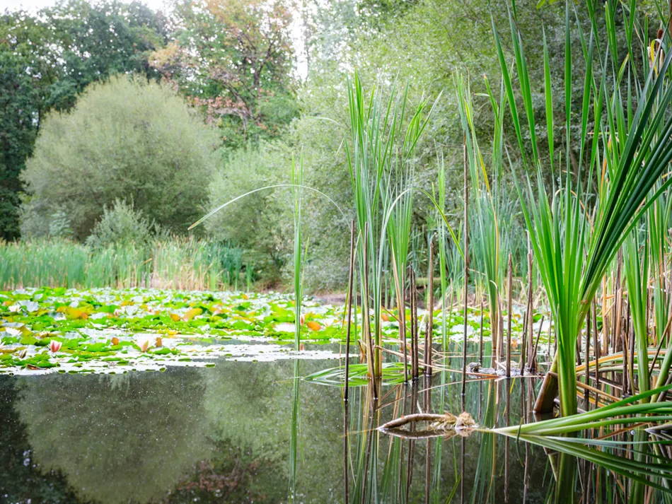Creuse Nature Naturisme
