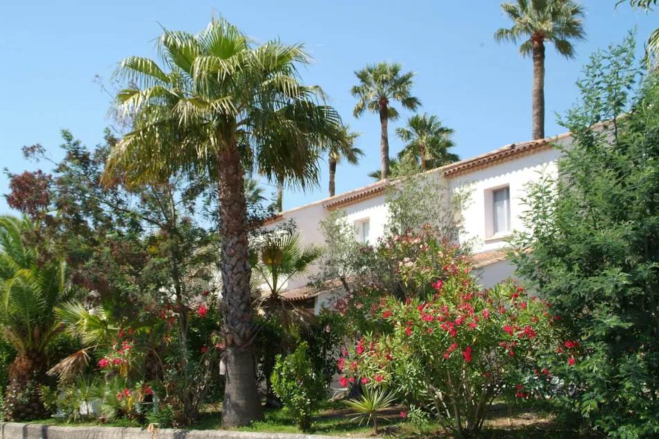 Camping La Baume La Palmeraie